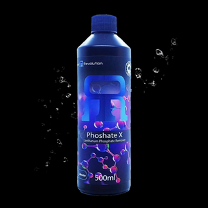 Reef Revolution || Phosphate X